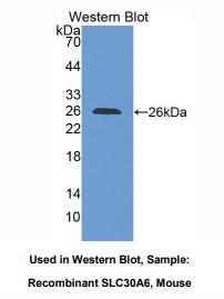 https://msimg.bioon.com/bionline/goods-no-pic.png