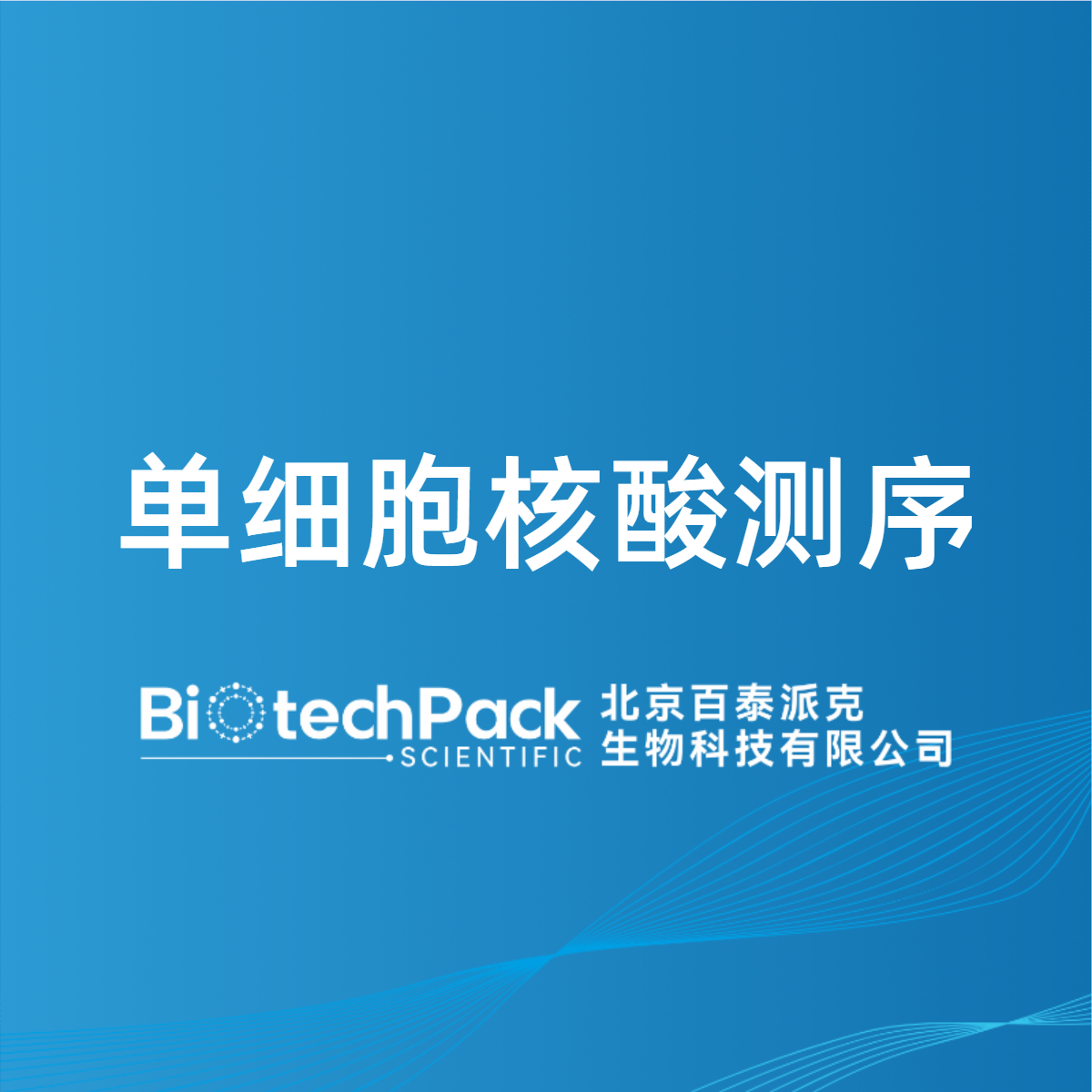 单细胞核酸测序