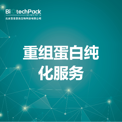 重组蛋白纯化服务