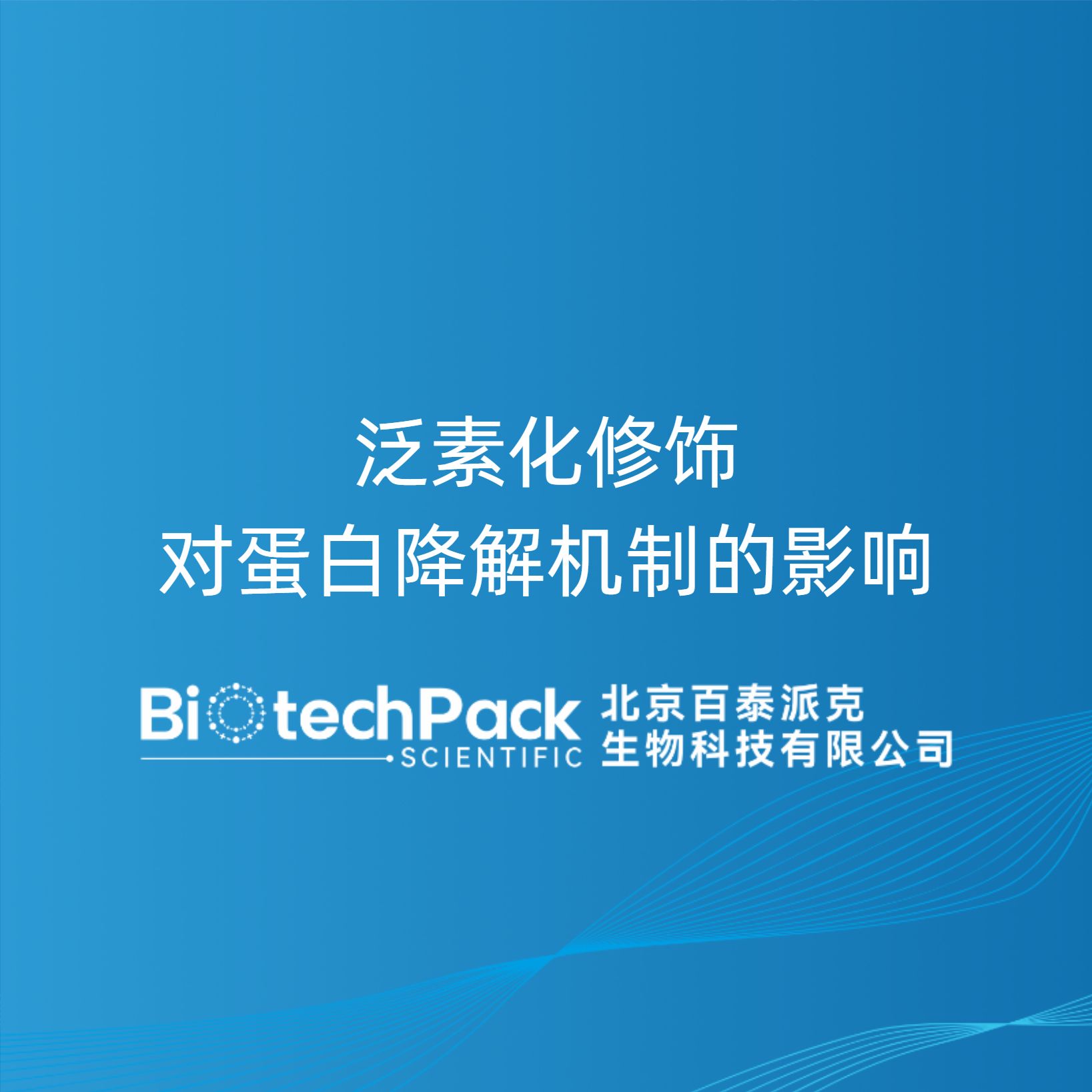 泛素化修饰对蛋白降解机制的影响