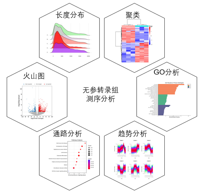 无参转录组高通量测序服务