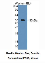 https://msimg.bioon.com/bionline/goods-no-pic.png