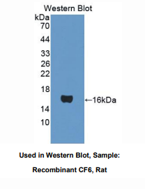 https://msimg.bioon.com/bionline/goods-no-pic.png