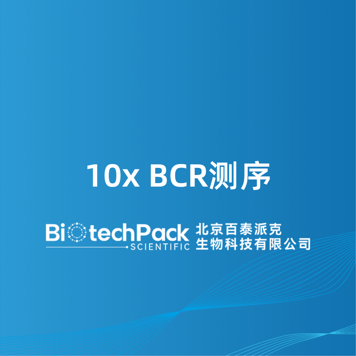 10x BCR测序