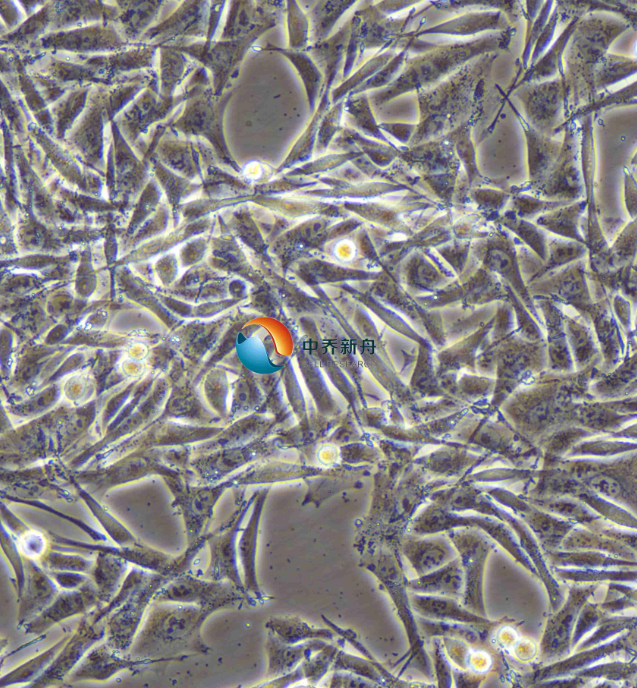 https://img.medsci.cn/8eee53bbc4cb7a98de615e72115896bc4e27fda5cbb764dbd67d9d641c2bb46a.png