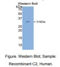 https://msimg.bioon.com/bionline/goods-no-pic.png