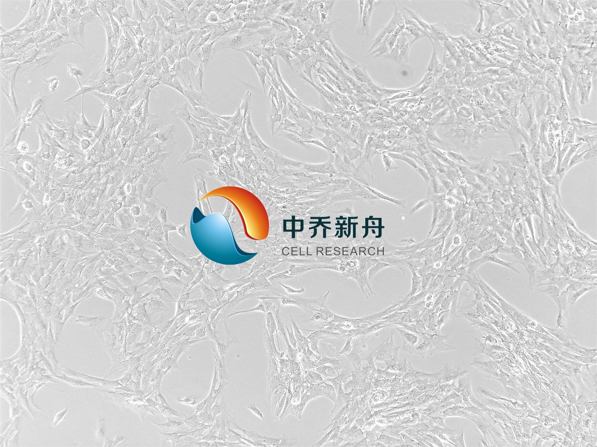 https://img.medsci.cn/8eee53bbc4cb7a98de615e72115896bc4e27fda5cbb764dbd67d9d641c2bb46a.png