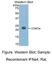 https://msimg.bioon.com/bionline/goods-no-pic.png