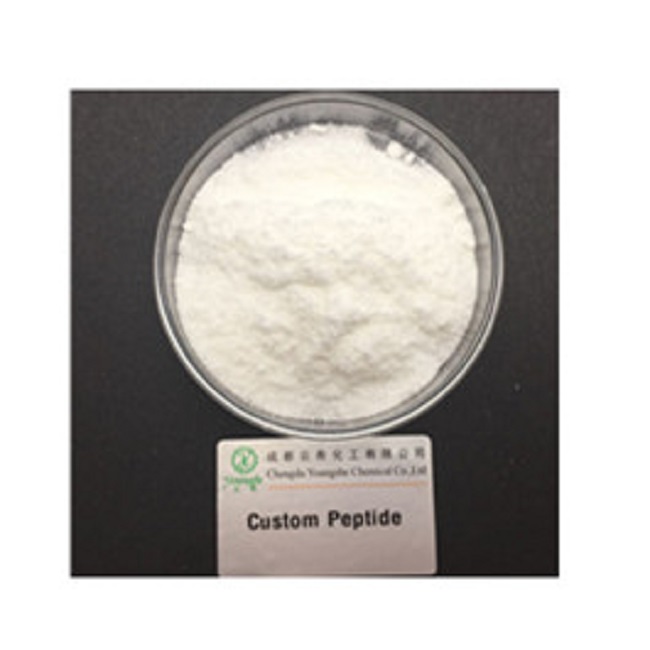 https://img.medsci.cn/996ce4147beece0e10ddd95b56815baff2fd783162e97a3579220f762f187f04.jpg