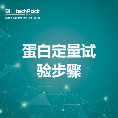 蛋白定量试验步骤