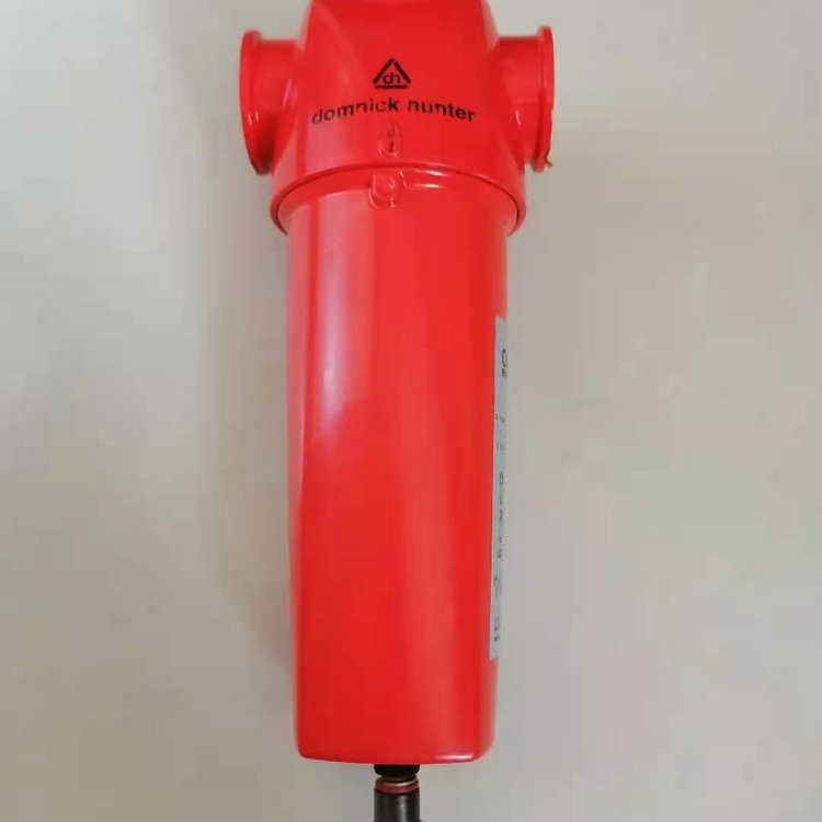 多明尼克过滤器