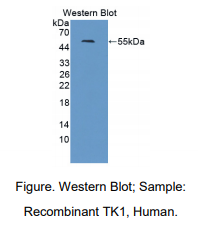 https://msimg.bioon.com/bionline/goods-no-pic.png