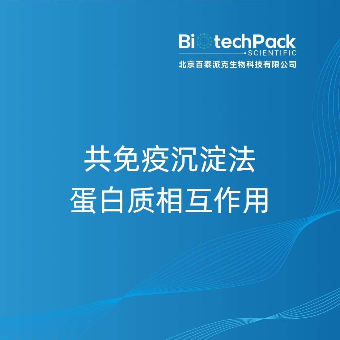 共免疫沉淀法蛋白质相互作用