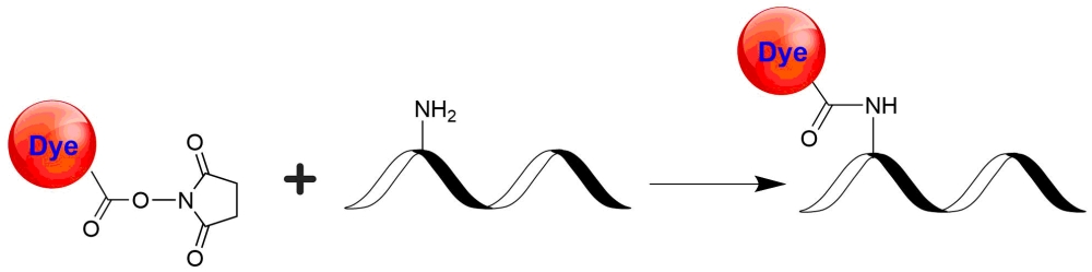 https://img.medsci.cn/e73eefcea40976357f460123cbf1e819c54e5106c9b457225be13b1cbc991aff.png