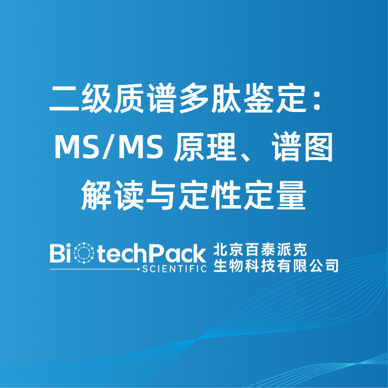 二级质谱多肽鉴定：MS/MS 原理、谱图解读与定性定量