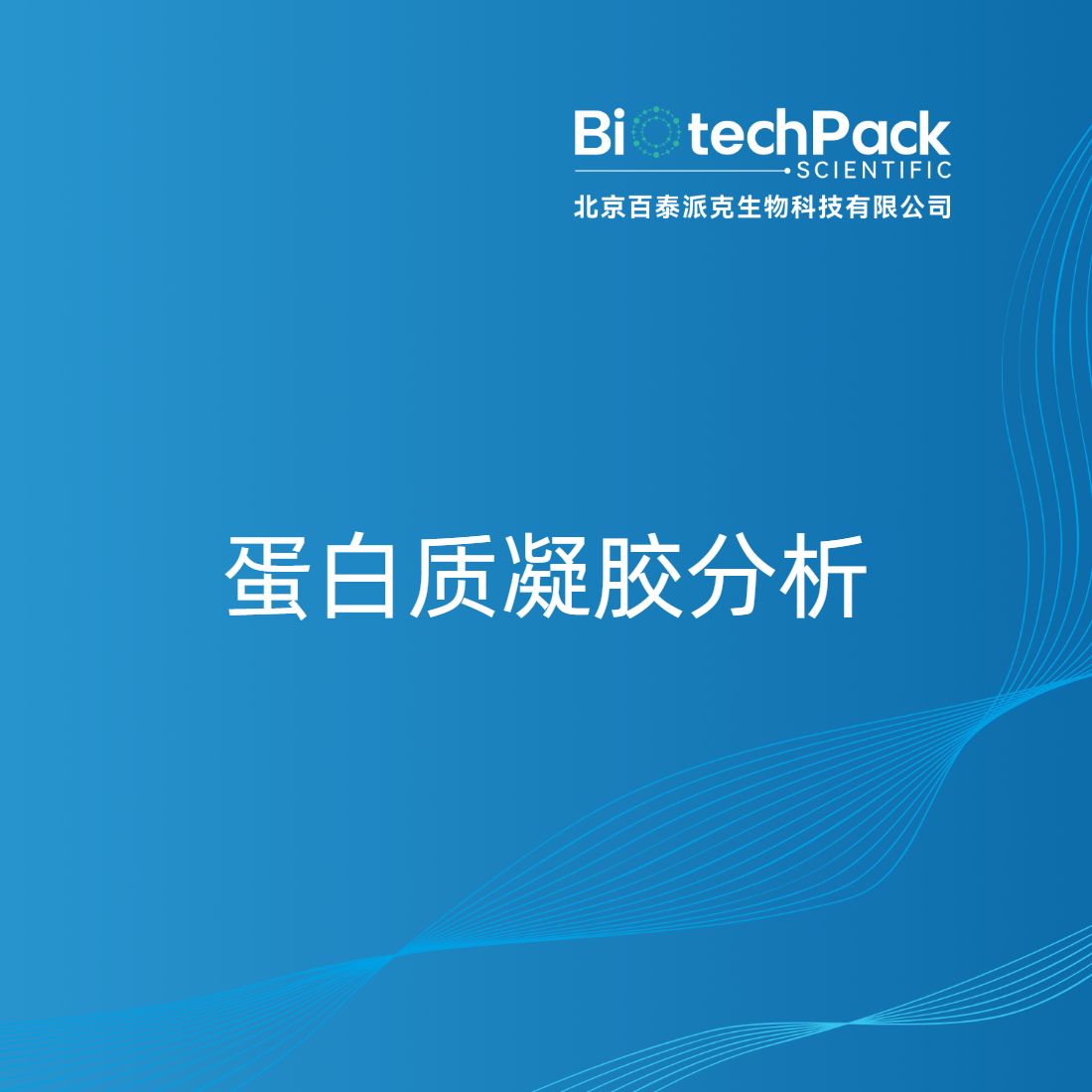 蛋白质凝胶分析