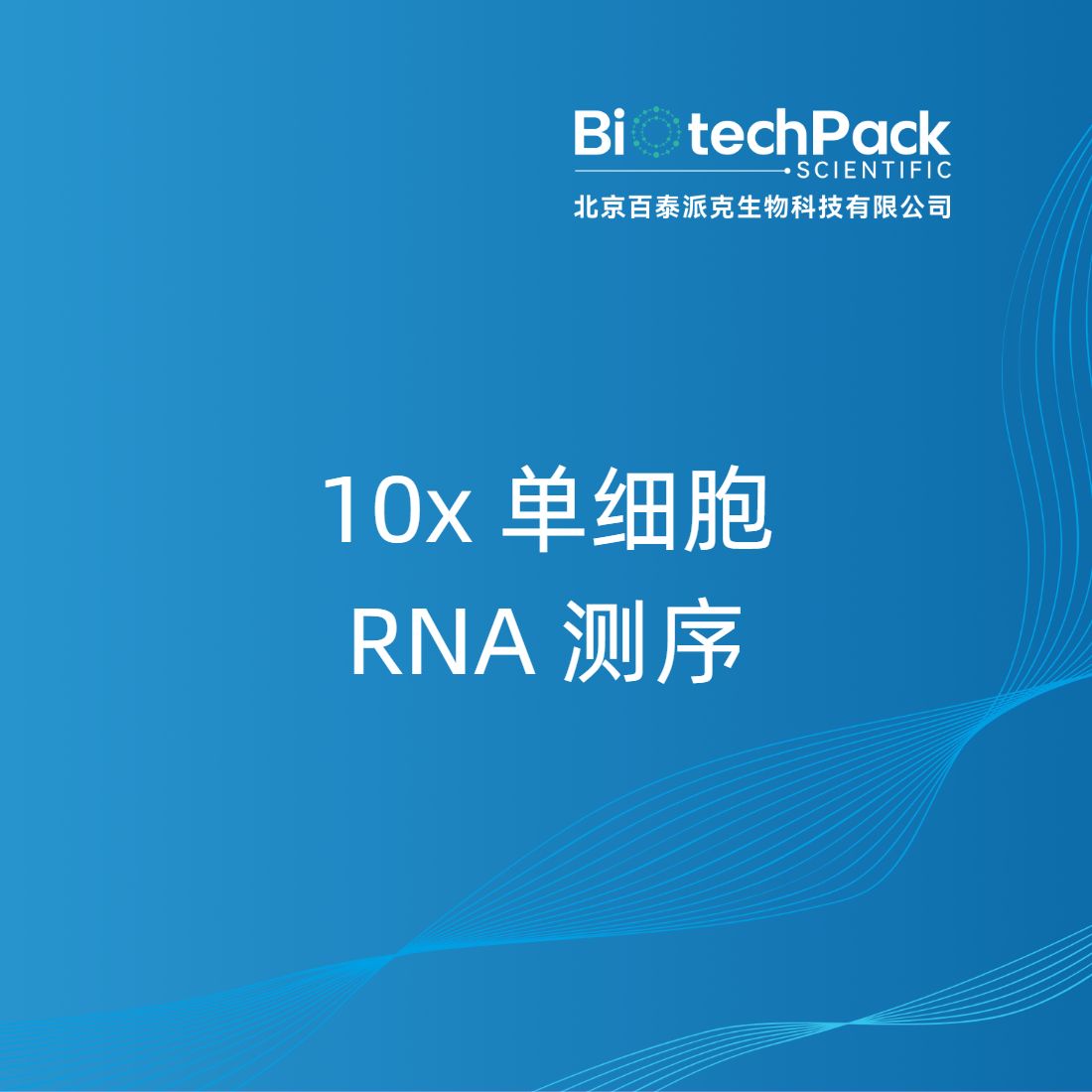 10x 单细胞 RNA 测序