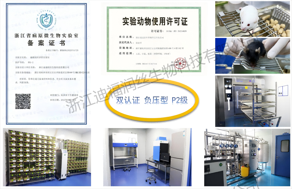 P2新冠假病毒动物攻毒保护实验