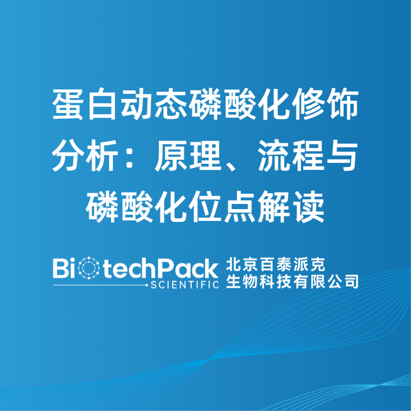 蛋白动态磷酸化修饰分析：原理、流程与磷酸化位点解读