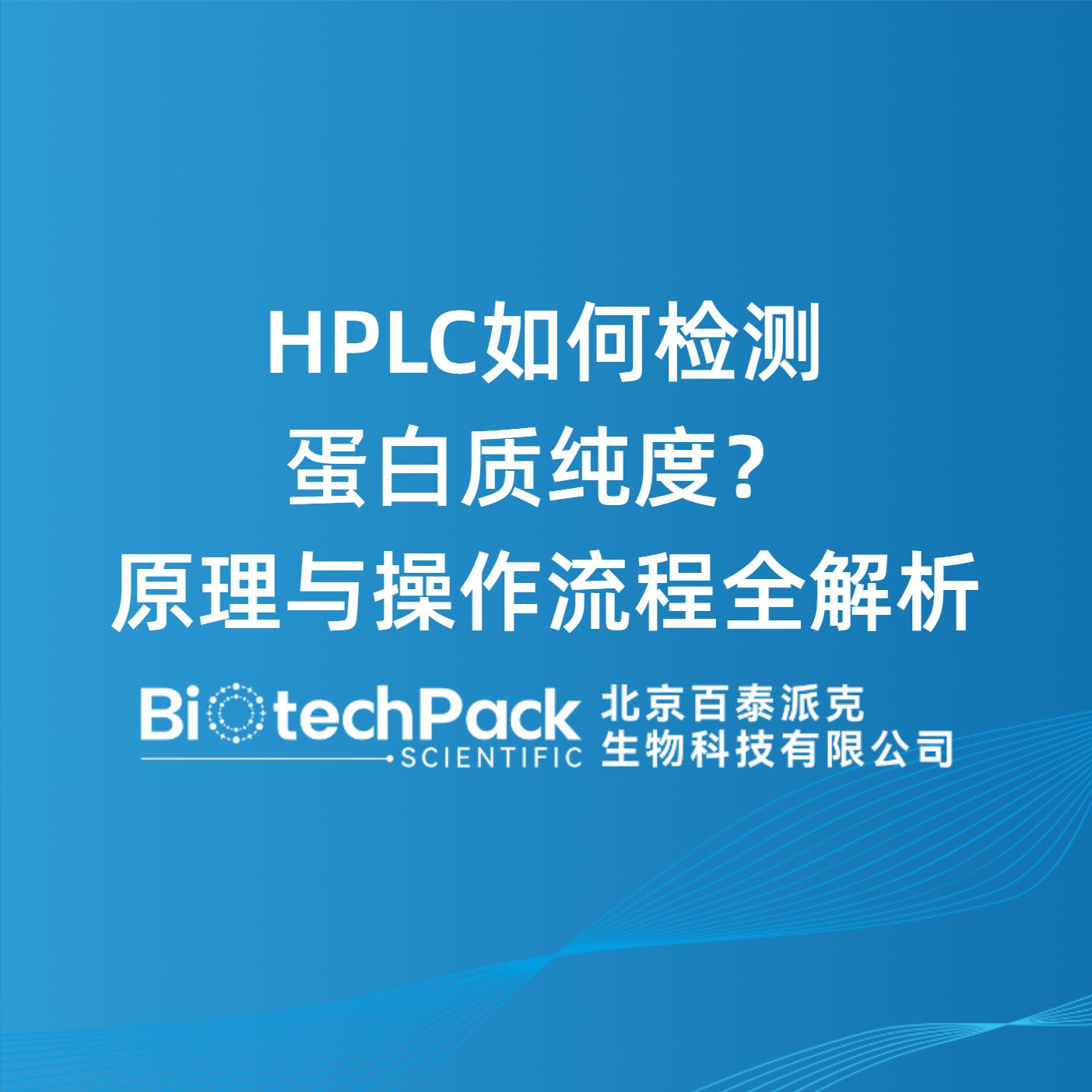 HPLC如何检测蛋白质纯度？原理与操作流程全解析