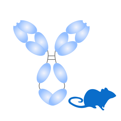 https://msimg.bioon.com/bionline/goods-no-pic.png