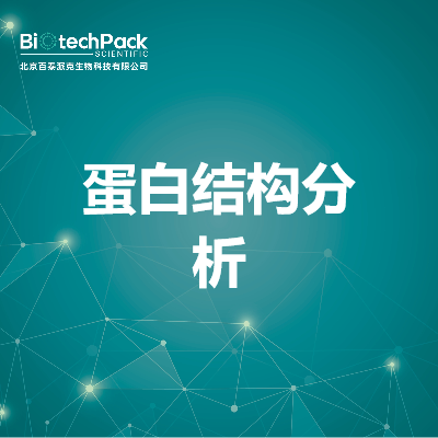 蛋白结构分析