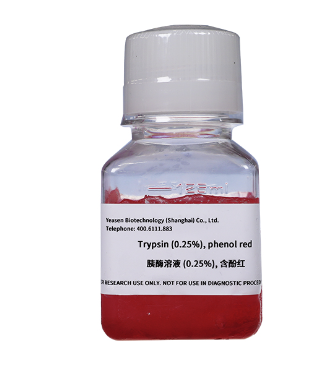 胰酶溶液（0.25%），含酚红