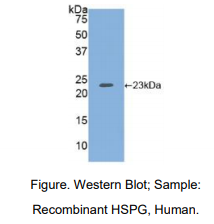 https://msimg.bioon.com/bionline/goods-no-pic.png