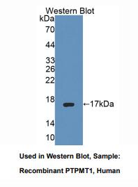 https://msimg.bioon.com/bionline/goods-no-pic.png