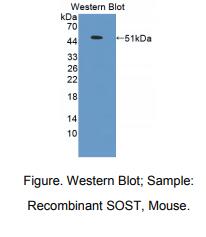 https://msimg.bioon.com/bionline/goods-no-pic.png