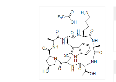 鬼笔环肽-iFluor 790标记