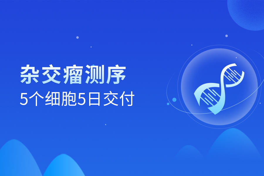 杂交瘤抗体基因测序