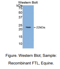 https://msimg.bioon.com/bionline/goods-no-pic.png