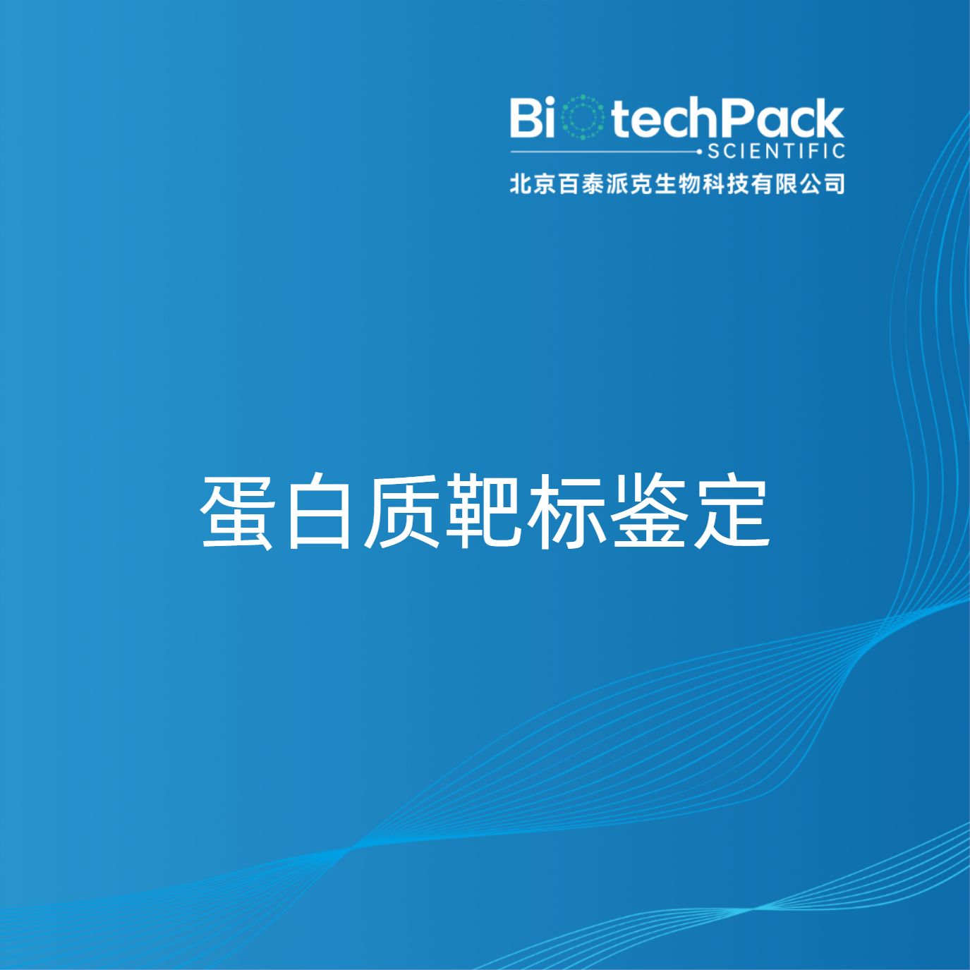 蛋白质靶标鉴定
