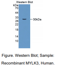 https://msimg.bioon.com/bionline/goods-no-pic.png