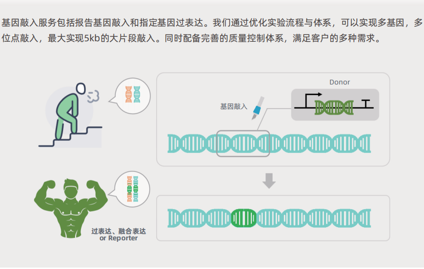 https://img.medsci.cn/3687a80f58cbb13817b000a8118703a5d5c3c40c1e42a31a21d5ea37e2522dcb.jpg