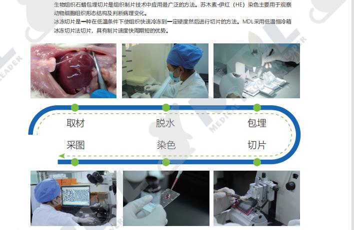 病理实验  包埋  切片 染色 