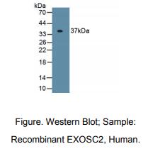 https://msimg.bioon.com/bionline/goods-no-pic.png