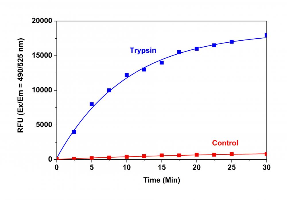 Amplite荧光法通用型蛋白酶活性检测试剂盒 *红色荧光*