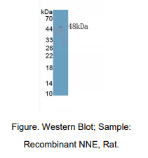 https://msimg.bioon.com/bionline/goods-no-pic.png