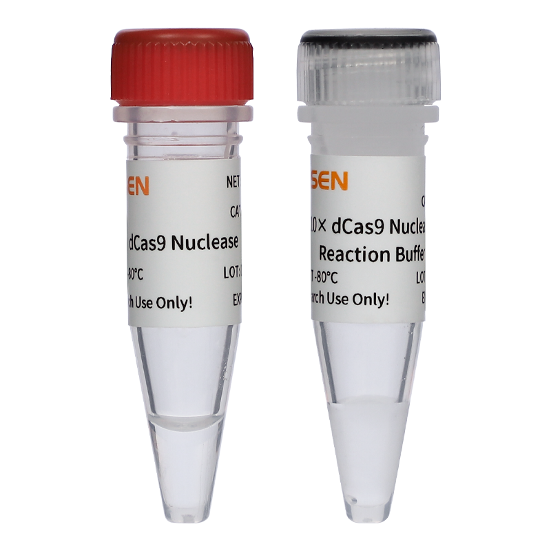 dCas9 Nuclease