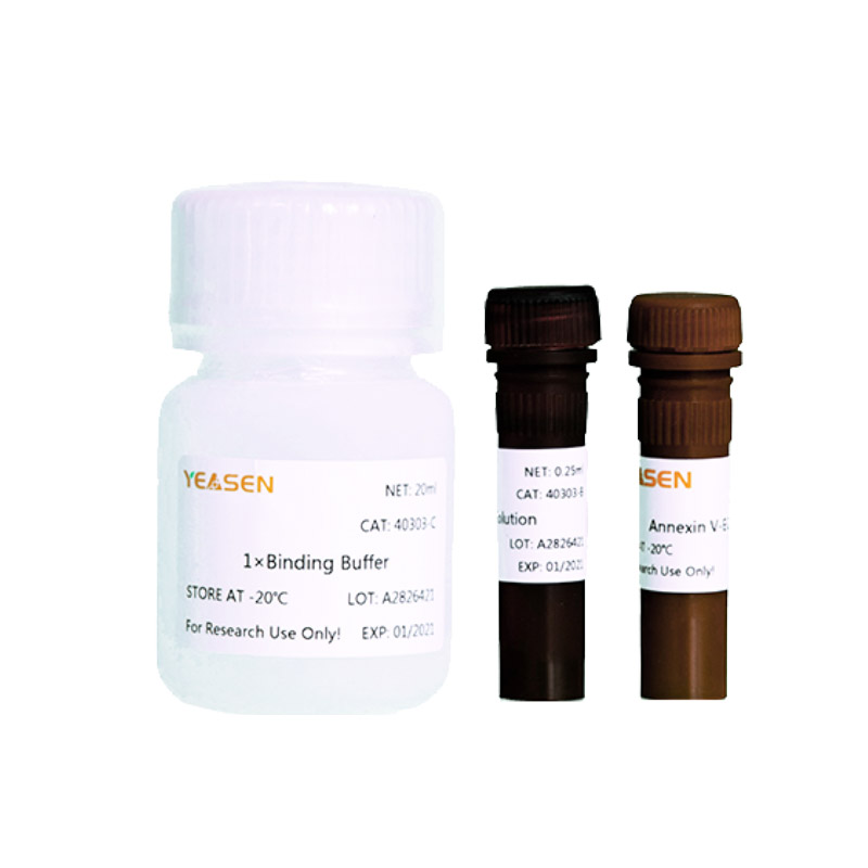 Annexin V-EGFP/PI Apoptosis Detection Kit 
