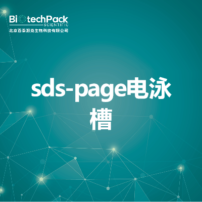 sds-page电泳槽