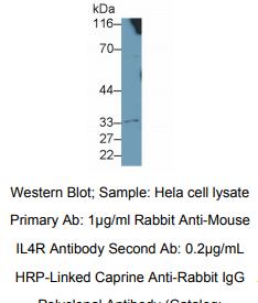 https://msimg.bioon.com/bionline/goods-no-pic.png