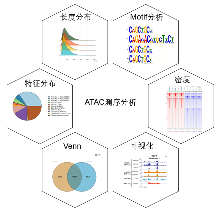 https://msimg.bioon.com/bionline/goods-no-pic.png