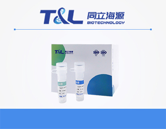 Lipidnano™Super RNAi 转染试剂