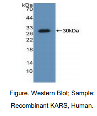 https://msimg.bioon.com/bionline/goods-no-pic.png