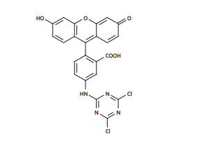 6-FAM,SE 6-羧基荧光素琥珀酰亚胺酯 CAS 92557-81-8