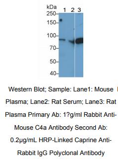 https://msimg.bioon.com/bionline/goods-no-pic.png