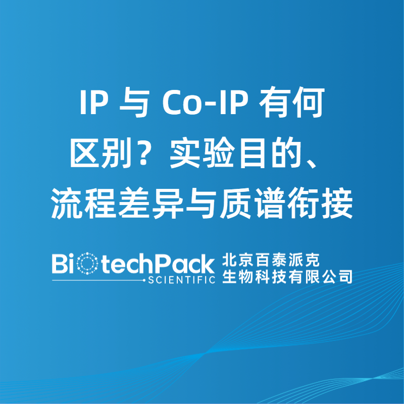 IP 与 Co-IP 有何区别？实验目的、流程差异与质谱衔接